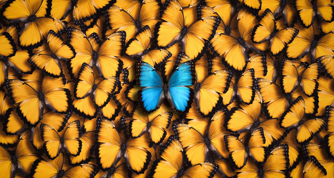 Differenzierung vs. Positionierung: Wann sollten sich Unternehmen von ihren Wettbewerbern differenzieren und wann sollten sie ihre eigene Position im Markt suchen?